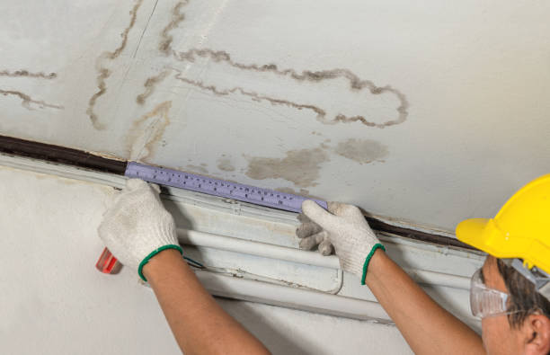 Reliable Water Damage contractor in Fowler, MI by Water Damage Irwin